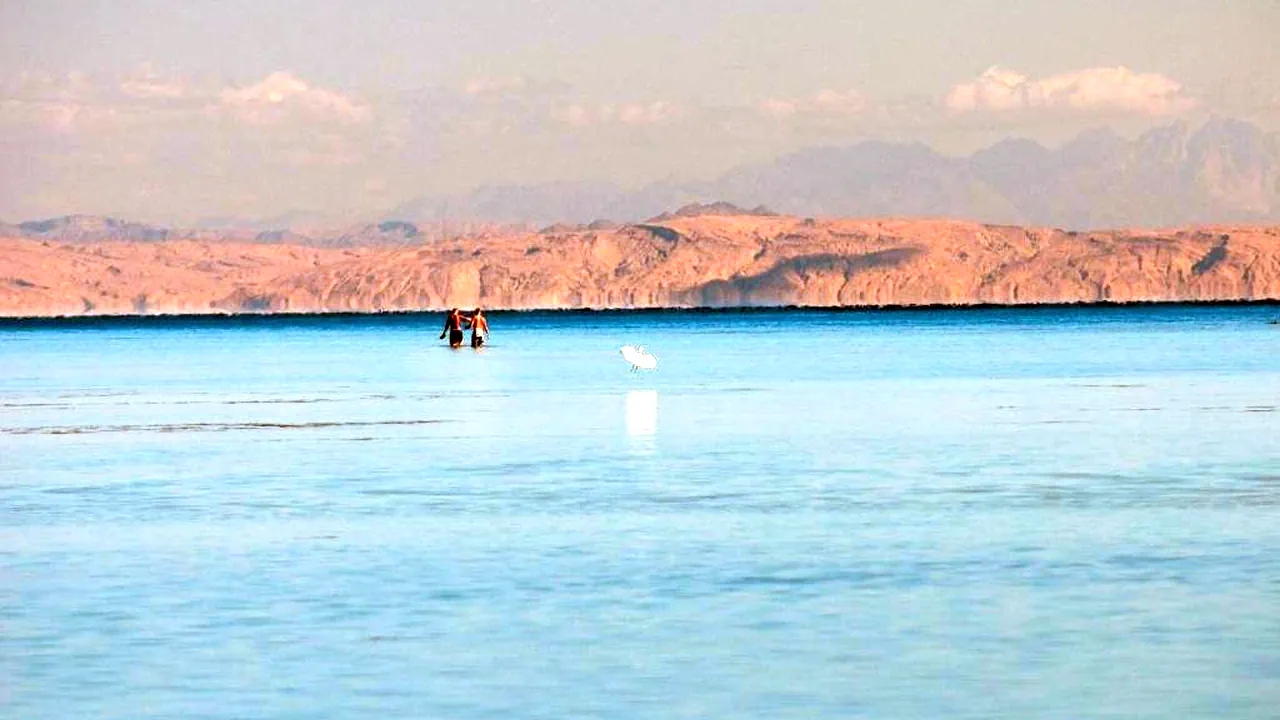 الفندق أمواج عيون - شرم الشيخ